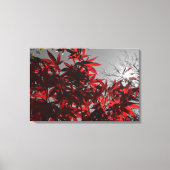 Embers of Autumn キャンバスプリント (正面)