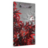 Embers of Autumn クリップボード (右)