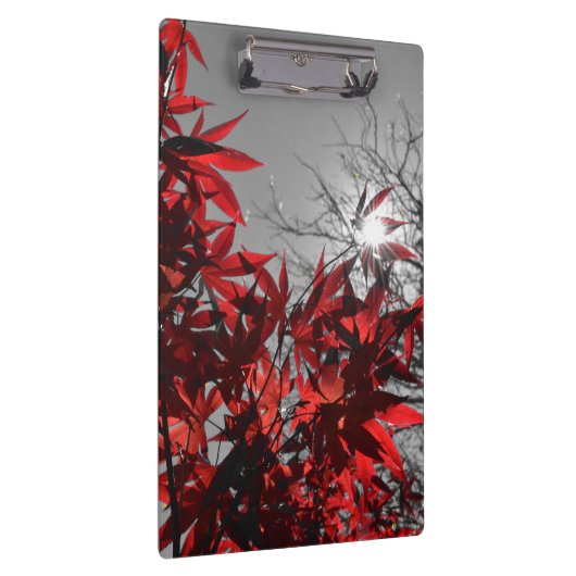 Embers of Autumn クリップボード (右)