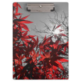 Embers of Autumn クリップボード (正面)