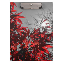 Embers of Autumn クリップボード