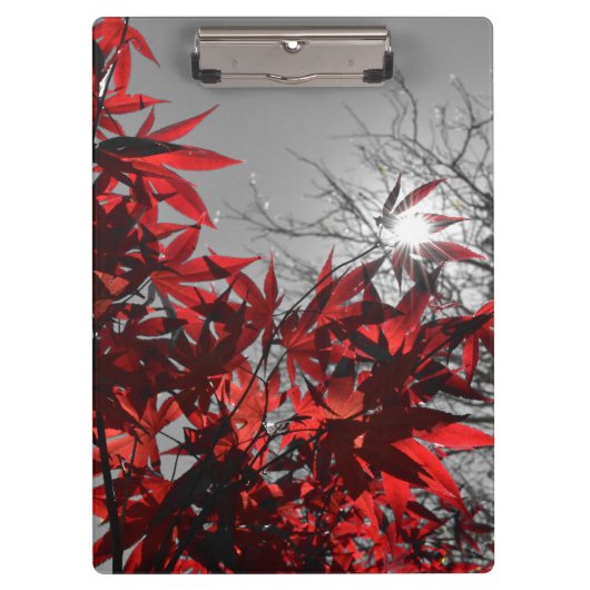 Embers of Autumn クリップボード (正面)