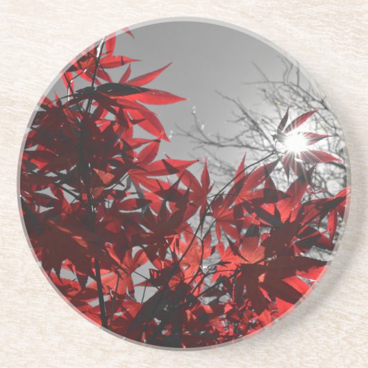 Embers of Autumn コースター (正面)