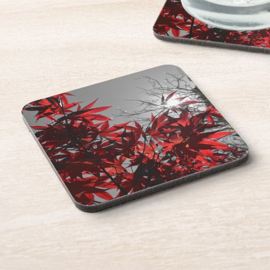 Embers of Autumn コースター (左側)