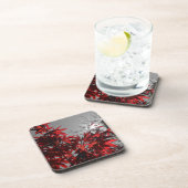 Embers of Autumn コースター (右側)