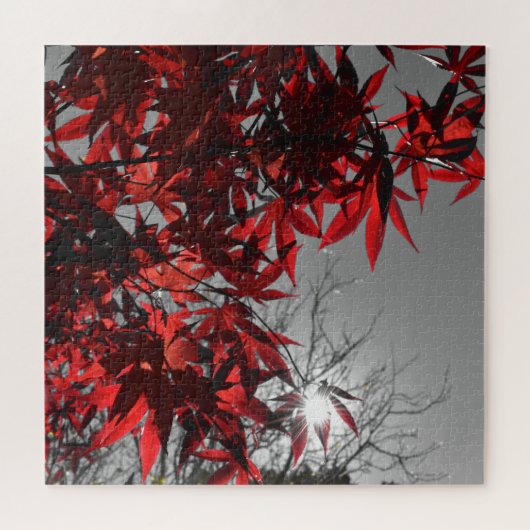 Embers of Autumn ジグソーパズル (横)