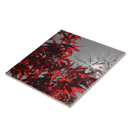 Embers of Autumn タイル (側面)