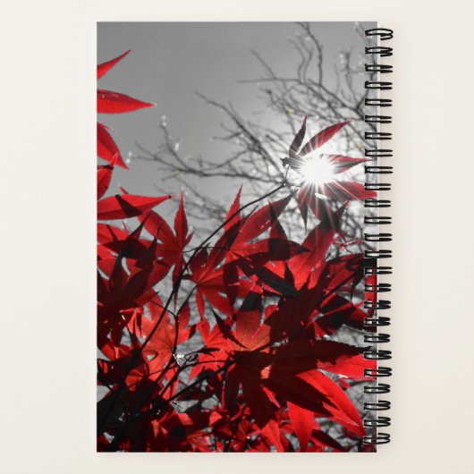 Embers of Autumn ノートブック (裏面)