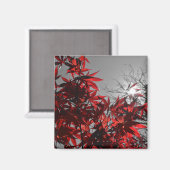 Embers of Autumn マグネット (正面/裏面)