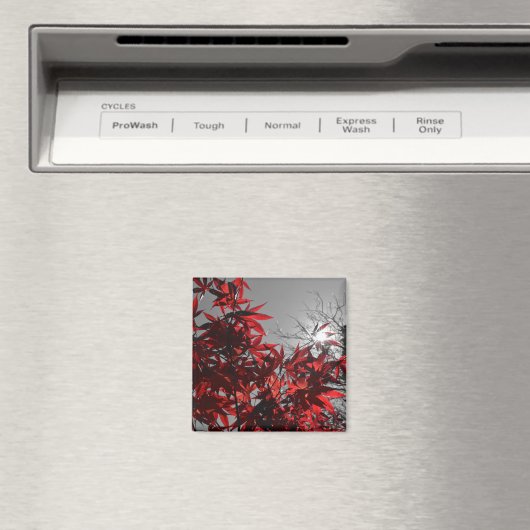 Embers of Autumn マグネット (インサイチュ (食洗機))