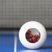 Embers of Autumn 卓球ボール (ネット)