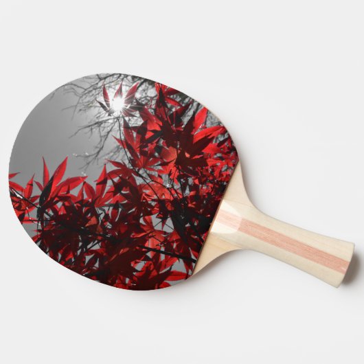 Embers of Autumn 卓球ラケット (横)