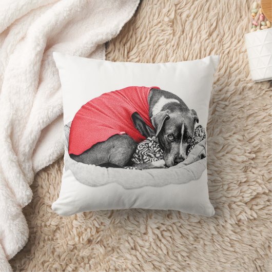 Embers of Cozy Nights クッション (ブランケット)