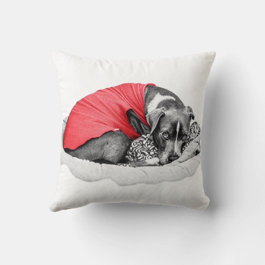 Embers of Cozy Nights クッション (裏面)