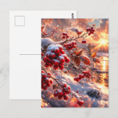 Embers of Winter Red Berries Snow ポストカード (正面/裏面)