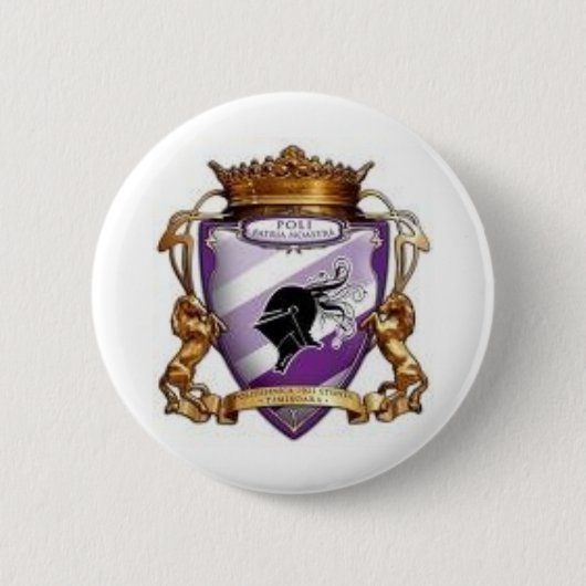 emblemaのpoliのtimisoara 缶バッジ (正面)