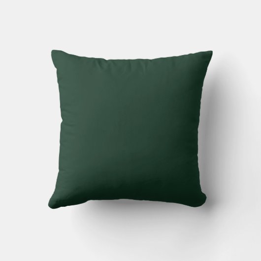 Embrace Change Throw Pillow クッション (裏面)