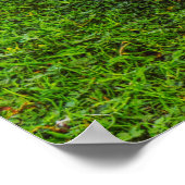 Emden Gooseポスター ポスター (角)