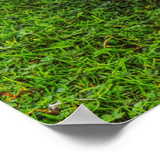 Emden Gooseポスター ポスター (角)