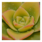 Emerald Bloom: Nature’s Liquid Jewel ポスター (正面)