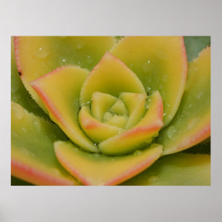 Emerald Bloom: Nature’s Liquid Jewel ポスター