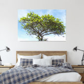 Emerald Canopy: The Coastal Almond Tree キャンバスプリント (インサイチュ (寝室))