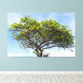 Emerald Canopy: The Coastal Almond Tree キャンバスプリント (インサイチュ (ウッドフロア))