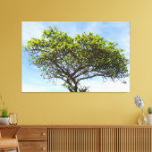 Emerald Canopy: The Coastal Almond Tree キャンバスプリント (インサイチュ (リビング))