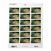 Emerald Doveプロフィールとパーチ ラベル (フルシート)