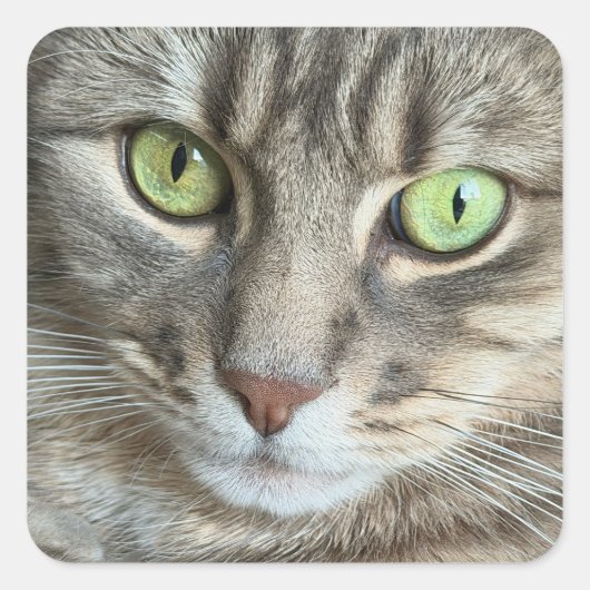Emerald Eyes – Portrait of a Green-Eyed Cat スクエアシール (正面)