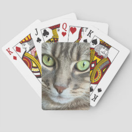 Emerald Eyes – Portrait of a Green-Eyed Cat トランプ