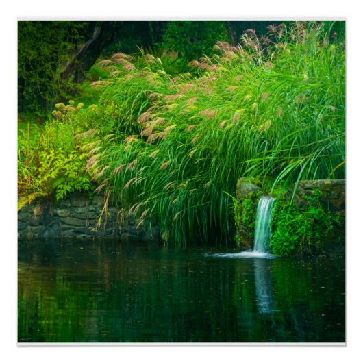 Emerald Stillness by the Garden Falls ポスター (正面)
