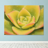 Emerald Succulent Macro Canvas Wall Art Print  キャンバスプリント (インサイチュ (ウッドフロア))