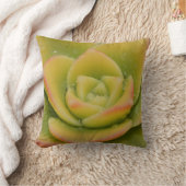 Emerald Succulent Photography Decor Modern Botanic クッション (ブランケット)