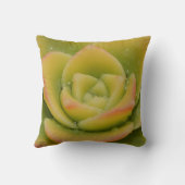 Emerald Succulent Photography Decor Modern Botanic クッション (裏面)