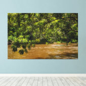 Emerald Veil over Rio Una キャンバスプリント (インサイチュ (ウッドフロア))