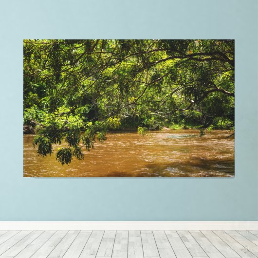 Emerald Veil over Rio Una キャンバスプリント (インサイチュ (ウッドフロア))
