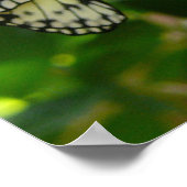 Emerging From Cocoons Poster ポスター (角)