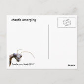 Emerging Mantisのはがき ポストカード (裏面)