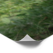 Emerging Strength – Lope the Silverback ポスター (角)