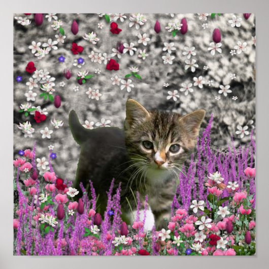 Emma in Flowers I - Little Gray Kitty Cat ポスター (正面)