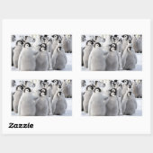 Emperen Penguin Chicks – ステッカー (シート)