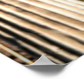 Emperor Caesar Augustus ポスター (角)