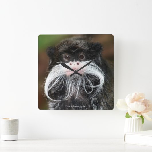 Emperor Tamarin スクエア壁時計 (ホーム)