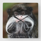Emperor Tamarin スクエア壁時計 (正面)