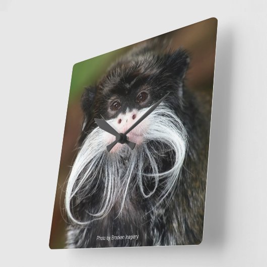 Emperor Tamarin スクエア壁時計 (傾斜)