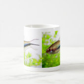 Emperor tetra コーヒーマグカップ (中央)