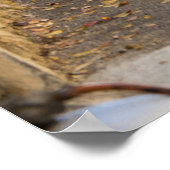 Empty Narrow通り（フランス） ポスター (角)