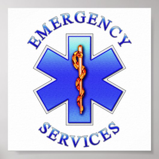 EMS ポスター (正面)