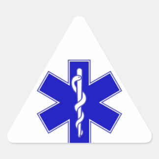 EMS Sticker 三角形シール
